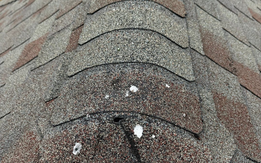 The image above highlights common roofing issues that, if ignored, can lead to expensive repairs or premature roof failure.